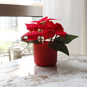 Lamp <b>Ornament</b> Christmas Red <b>Flower</b> Pot Festive Atmosphere Night Light Tabletop Decoration Gift Uionen 2188 - Product Image 1