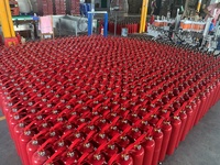 Vente directe usine – Extincteur à poudre sèche ABC/DCP de 4,5 kg et 6 kg avec tuyau – Prix compétitif