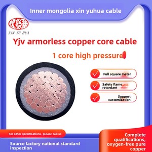 Xinyuhuaケーブルメーカーの国家標準ZR-YJV 1*150シングルコアPVCスクエア銅コア低電圧電源ケーブル - Product Image 2