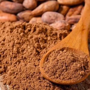 Vente en gros <span class=keywords><strong>de</strong></span> poudre <span class=keywords><strong>de</strong></span> cacao alcalinisée <span class=keywords><strong>de</strong></span> qualité supérieure du Ghana fabriquée avec <span class=keywords><strong>de</strong></span> nouvelles fèves <span class=keywords><strong>de</strong></span> cacao <span class=keywords><strong>de</strong></span> 2025 ans - Product Image 1