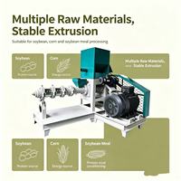 Machine extrudeuse à vis simple pour aliments pour animaux, maïs et soja, extrudeuse à soufflage pour la fabrication de granulés d'aliments pour animaux, CE ISO