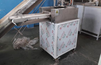 Ligne de production professionnelle de pâtes macaroni, machine à fabriquer des pâtes macaroni