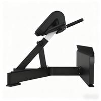 Banc d'entraînement de fitness commercial de haute qualité série de chaises chaises romaines en métal équipement de gymnastique essentiel directement fourni par l'usine