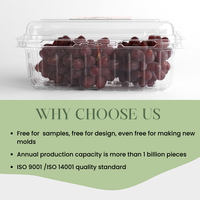 Fourniture de boîtes en PET transparentes à clapet pour fruits frais Conteneur d'emballage Perforé en plastique Tomate Cerise Raisin Fruits Punnets Boîtes
