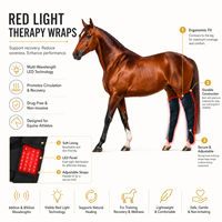 SUNGLOR SGHSBB Soins équin avec 236 LED infrarouges pour la thérapie par la lumière rouge, bandages pour l'équitation, pour l'approvisionnement des marques équestres mondiales
