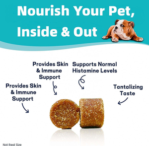 OEM Soulagement Organique Des Allergies Doux À Mâcher pour Chiens Immunitaire Soutien Digestif Réduire L'anxiété Peau Manteau Santé Friandises - Product Image 4