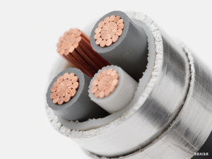 WDZCNYJY Fil de cuivre pur résistant au feu à faible dégagement de fumée, sans halogène, 3 4 5 conducteurs 6.10.16.25.35 Câble d'alimentation carré - Product Image 2