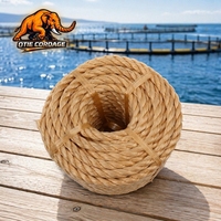 Corde en polypropylène durable, corde d'emballage PP PE, corde torsadée à 3 brins, corde à film fendu pour usage maritime et quotidien