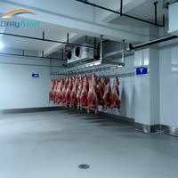Chambre de maturation professionnelle pour bœuf avec contrôle précis de la température et de l'humidité