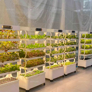 Columna Hidropónica/Aeropónica Vertical Compacta para Interiores, Bomba Esencial, Luces LED de Cultivo, Riego Automático para Vegetales de Hoja Verde - Product Image 4