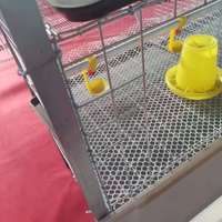 Cage à poulets à 4 étages avec revêtement antirouille, 80 poulets, 2 portes, pour l'extérieur