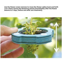 Outil de taille pour cactus Saboten et fleurs de vigne, importé du Japon, pour arbres fruitiers, jardins, agriculture et foresterie