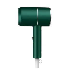 Beauty Salon Ionic Custom Home Use Hair Dryer Hair Super Wind Quiet Green White Electric Hair Dryer