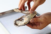 Demi-coquille congelée de haute qualité Huître du Japon Bon prix Saumon frais-Compliment d'huître