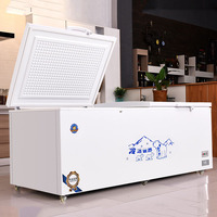 Congélateur Coffre -25°C, Différentes Tailles (830L, 550L, 460L), Horizontal, Température Unique pour Restaurants Rapides, Supermarchés et Machines à Glace