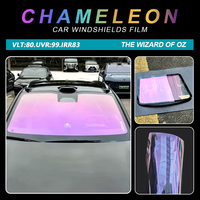 Film Caméléon Rose Violet VLT 75% VLT85% Teinte de Vitre Auto-Adhésive Isolante Thermique pour Pare-Brise