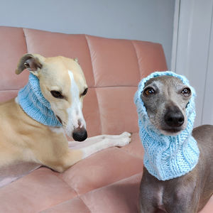 Qiqu Pet Supplies – Nouveau cache-cou et bonnet pour chien, <span class=keywords><strong>tricoté</strong></span> à la <span class=keywords><strong>main</strong></span>, design personnalisé, pour lévrier italien et whippet - Product Image 3