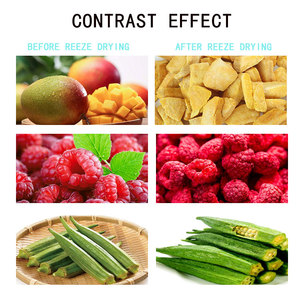 Liofilizador Automático <span class=keywords><strong>de</strong></span> Alta Eficiencia HFD-<span class=keywords><strong>9</strong></span> <span class=keywords><strong>de</strong></span> 15 <span class=keywords><strong>kg</strong></span> para Alimentos, Plantas y Más - Ideal para el Hogar, Liofilizador <span class=keywords><strong>de</strong></span> Bajo Consumo <span class=keywords><strong>de</strong></span> 105W - Product Image 5