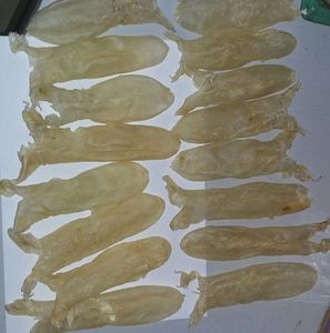 VIETNAM BASA PESCE VESCICA NATATORIA CUBO O UN PEZZO/PESCE ESSICCATO MAW/PESCE MAW PER LA ZUPPA di FARE - Product Image 5