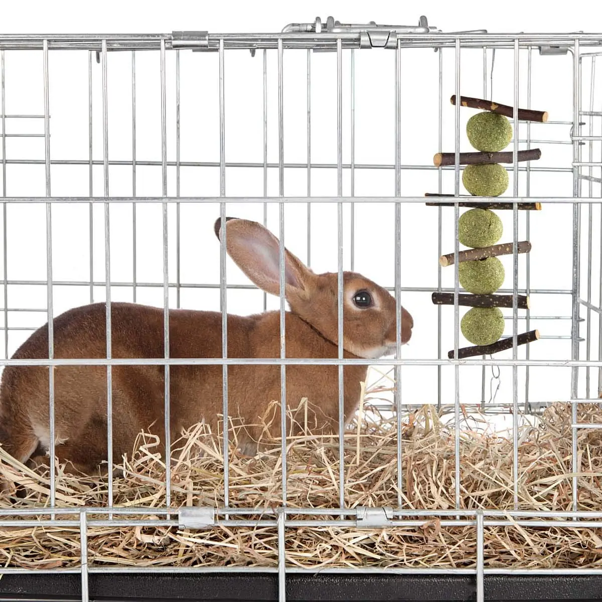 10PCSナチュラルティモシーグラス小動物ウサギチンチラギニア豚ハムステモラーグラスケーキボールチューおもちゃ