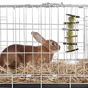 10 Buah Rumput Timothy Alami Binatang Kecil Kelinci Chinchillas Guinea Babi Hamste Molar Rumput Bola Kue Mainan Gigitan