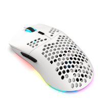 HXSJ T66 blanc 3 modes 650mAh rechargeable 6 boutons programmable souris de jeu lumineuse RVB sans fil en nid d'abeille pour ordinateur portable