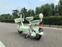 Vente directe d'usine, vélo électrique de banlieue 48V 20AH 400W, vélo électrique de ville