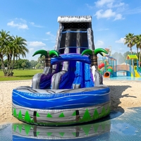 Toboggan aquatique gonflable double piste robuste certifié CE en PVC pour fêtes de jardin, parcs aquatiques et opérateurs de location