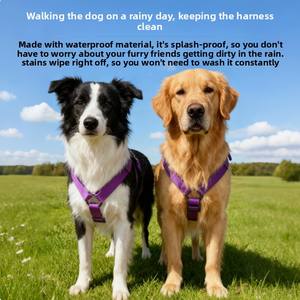 Conjunto de Correa y Arnés para Perro de <span class=keywords><strong>PVC</strong></span> con Color Degradado y Logotipo Personalizable, Arnés para Perro Impermeable, Ajustable y de Estilo Moderno - Product Image 6