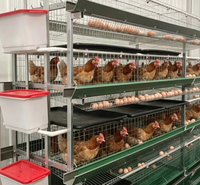 Cage à poules pondeuses galvanisée de type H à 4 niveaux, 4 portes, en treillis métallique durable