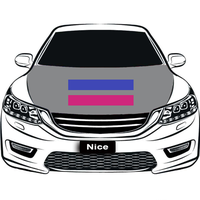 Housse de capot de voiture personnalisée en polyester arc-en-ciel Aegosexual Gay, impression par sublimation vive pour défilé automobile sur le thème de la fierté