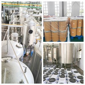 ผงสกัดใบมะรุม 10:1 ผงใบต้นมอเรงกา ผงใบมะรุมสำหรับเสริมสุขภาพ - Product Image 5