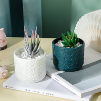 Nouveau récipient créatif de style nordique pour arrangements floraux secs et humides, vase hydroponique en plastique, pot de fleurs en porcelaine