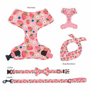 ストロベリーフルーツパターン犬のハーネスとリーシュセット大中小反射ベストポリエステル漫画のスタイルで作られた - Product Image 3