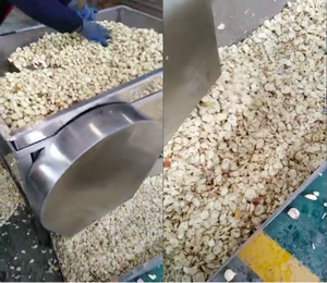 Máquinas De Processamento De Alho Elétrico/Cravo De Alho Automático Quebrando e Descascando Linha De Produção De Pó De Alho - Product Image 5