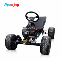 Kart de location tout-terrain ApexJoy Thunderbird - Moteur central 1000W, couple élevé, 60 km/h, frein à disque, châssis flexible, contrôle de vitesse via application