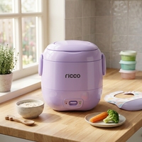 Cuisinière à riz électrique portable mini JRC-30 120W 0.3L avec cuve antiadhésive, boîtier en plastique, tasse doseuse - Certifiée GS CE ROHS LFGB