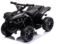 Voiture à pédales électrique Welldone WDXB-8118 unisexe à 4 roues en PP pour enfants de 5 à 7 ans, moteur 25W*1, batterie 6V4.5AH, haute qualité