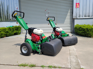 Cortacésped a gasolina con carrete, ancho de corte de 560 mm, 11 cuchillas, autopropulsado, con depósito de combustible. Precio de reserva. - Product Image 6