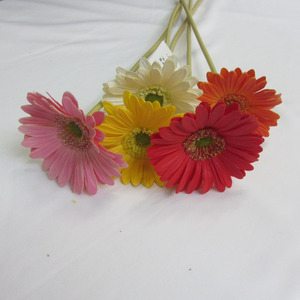 mini Real cảm ứng pu đồng tiền hoa cúc hoa nhân tạo - Product Image 3