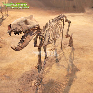 Squelette de <span class=keywords><strong>tigre</strong></span> à dents de <span class=keywords><strong>sabre</strong></span> en résine pour exposition muséale - Product Image 2