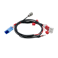 Adaptateur de câblage pour haut-parleur automobile, connecteur 20 voies, prise radio stéréo vers adaptateurs d'antenne, faisceau de câbles