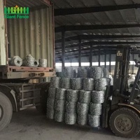 Kawat Besi Galvanis Berkualitas Tinggi, Double Twisted, Berduri, Bersertifikat ISO9001, Gulungan 25kg, Harga Per Gulungan, Konstruksi Pagar, Ukuran Besar