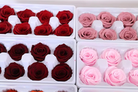 Lot de 8 têtes de roses éternelles préservées de 4-5 cm, mini roses artisanales pour centres de table de mariage, fête des Mères, arrangements floraux DIY