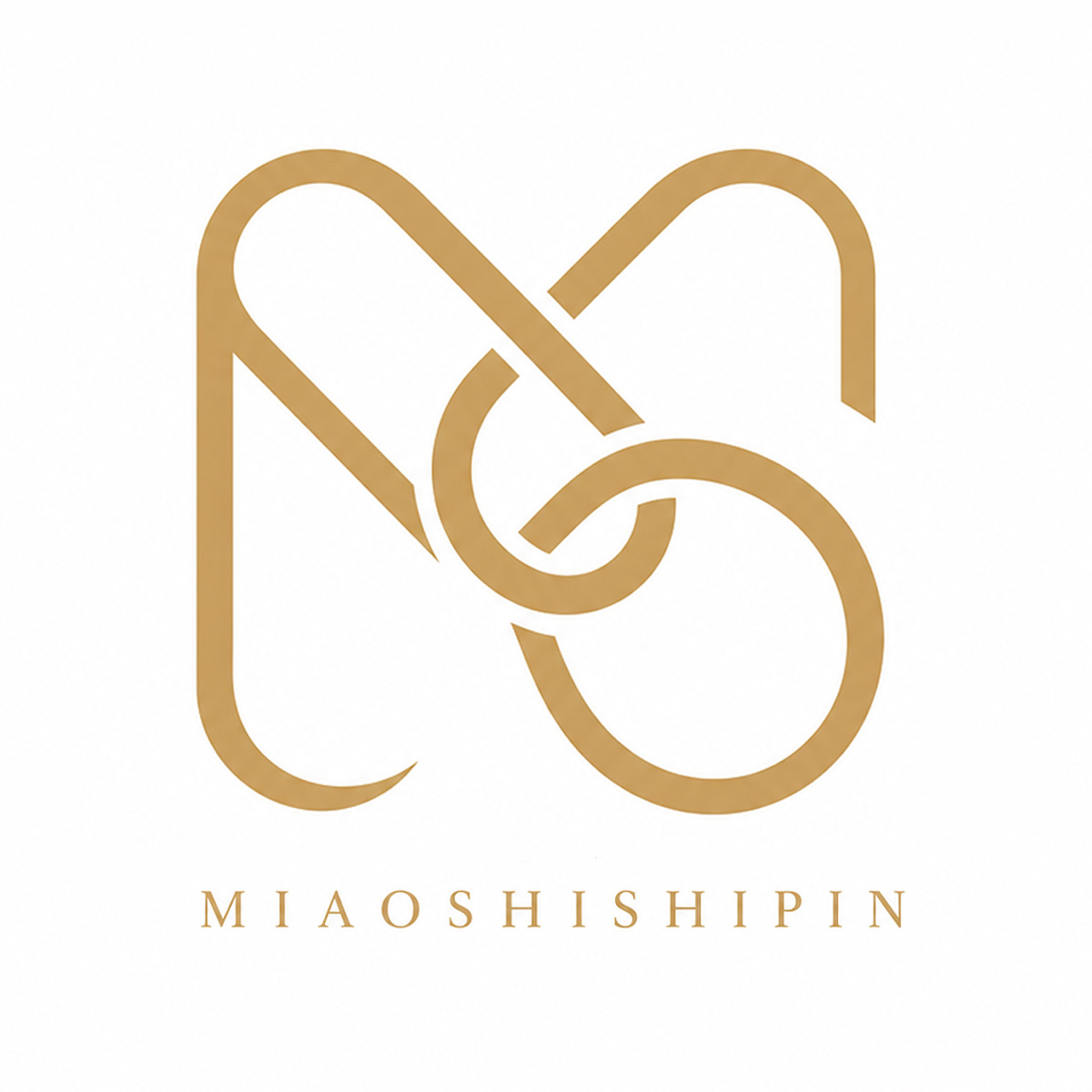 Dongyang Miaoshi Jewelry Co., Ltd. logo