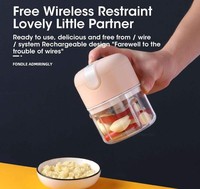 Fv09 Gratis Handheld 250Ml Cup Keuken Knoflook Vlees Plantaardige Batterij Aangedreven Usb Draadloze Mini Elektrische Voedsel Chopper