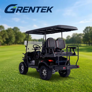 Carrito de Golf Eléctrico de Alta Potencia Personalizado de 2+2 Plazas, Velocidad de 30 km/h, Autonomía de 50-70 km, Suministro de Fábrica, Carrito de Golf Estadounidense para Carreteras No Públicas - Product Image 2