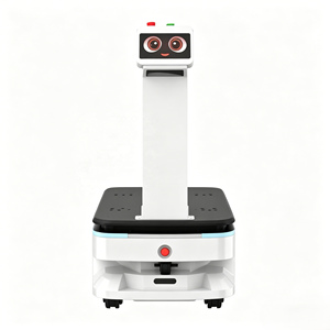 Robot de transport d'entrepôt haute précision, <span class=keywords><strong>AGV</strong></span> logistique, charge de 100 kg, navigation laser SLAM, recharge automatique et évitement d'obstacles - Product Image 2