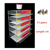 Cage à cailles compacte conçue pour des opérations d'élevage efficaces avec production avicole automatisée