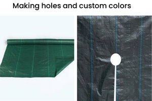 Sẵn Sàng Để Tàu 1*1M 1.2*1.2M Kim Đấm <span class=keywords><strong>Weed</strong></span> Mat/Chống <span class=keywords><strong>Weed</strong></span> Vải Lưới Với Lỗ Tree <span class=keywords><strong>Weed</strong></span> Mat - Product Image 2